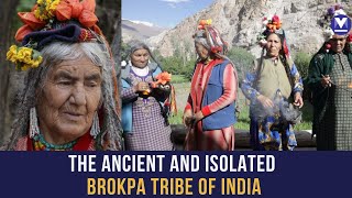 High in the Himalayas The isolated Brokpa people of Ladakh [upl. by Eilla]