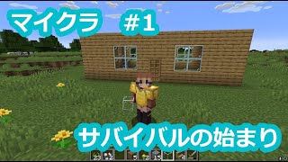 【マイクラ】1 Java版 サバイバルの始まり [upl. by Ailegra]