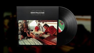 Crosby Stills amp Nash – Run From Tears Vinyl Visualizer [upl. by Jennica]