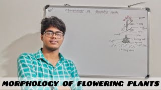 Morphology Of Flowering Plants Part  1 biology morphologyoffloweringplants botany [upl. by Anabella]