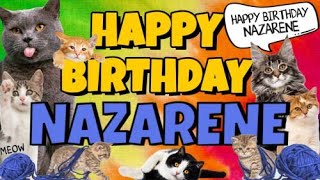 Happy Birthday Nazarene Crazy Cats Say Happy Birthday Nazarene Very Funny [upl. by Aneloc]