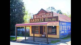 Tenterfield Saddler Marty Bell [upl. by Teevens]