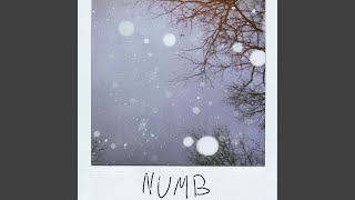 Numb [upl. by Fawn]