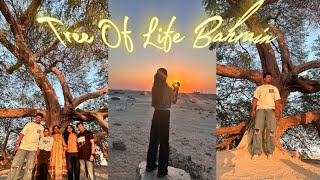 Tree Of Life  Bahrain [upl. by Beebe]