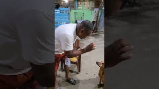 El Show de Robinson con la perrita Avi Dando a comer a perrita perros show [upl. by Atikir]