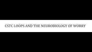 STAHLS  CH 9  PART 3  CSTC LOOPS AND THE NEUROBIOLOGY OF WORRY  psychiatrypsychopharmacology [upl. by Carbone]