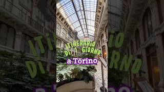 Cosa vedere in 1 giorno a Torino torino turin [upl. by Notnerb709]