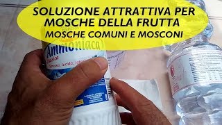 SOLUZIONE ATTRATTIVA PER MOSCHE DELLA FRUTTA E MOSCONI [upl. by Ahiel301]