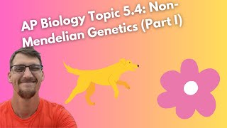 54 NonMendelian Genetics  AP Biology [upl. by Aleiram]