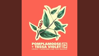 Crush  Someone Like You Mashup [upl. by Swanson]