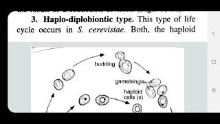 YeastSaccharomycesPart5Haplodiplobiontic life cycle BSc 1st lecture in Hindi and English [upl. by Henrik]