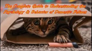 The Complete Guide to Understanding the Psychology amp Behavior of Domestic Cats  Full Research Data [upl. by Hniht]