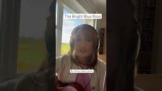 The Bright Blue Rose by Jimmy MacCarthy irishsinger folksinger folksong [upl. by Athalie]