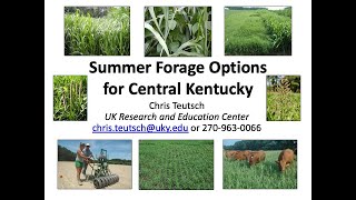 Summer Forage Option for Central KentuckyChris Teutsch [upl. by Nnylak]