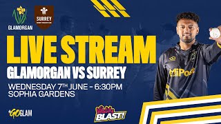 T20 LIVE STREAM  Somerset vs Glamorgan Vitality Blast [upl. by Yssak]