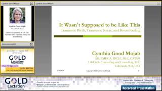 Cynthia Good Mojab Interview  GOLD Lactation 2014 [upl. by Alyt]