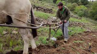 Egoitz Azkue García El Priorat [upl. by Tezzil]