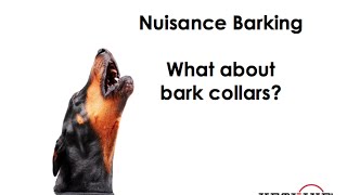 Using Bark Collars in Dogs that Bark Excessively [upl. by Rett]