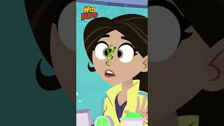 WILD KRATTS  Southern Stingray [upl. by Attenwahs298]