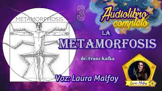 Metamorfosis de Franz Kafka audiolibro completo parte 3 de 3 Voz humana real [upl. by Atinrahc]