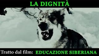 EDUCAZIONE SIBERIANA  LA DIGNITA DEL LUPO CAPO BRANCO [upl. by Biddle389]