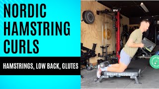 Master the Nordic Hamstring Curl for Stronger Hamstrings Glutes amp Low Back amp Beginner Modification [upl. by Eldredge518]