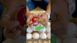 UNBOXING SG Most Expensive Leather Cricket Balls  Worth ₹43000 cricket shorts ball [upl. by Gnex]