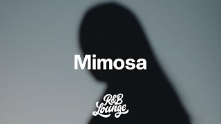 RINI  Mimosa Lyrics [upl. by Nightingale370]