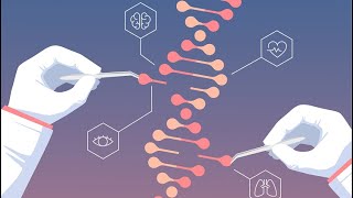 Gene Knockout using CRISPR [upl. by Noyek]