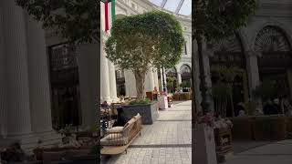 The Avenues Mall in Kuwait 🇰🇼 inside tour 2024 موّل الافنيوز في الكويت trending اكسبلور shorts [upl. by Aliber359]