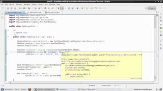 Hibernate Tutorial 30  Understanding Restrictions [upl. by Durrace814]