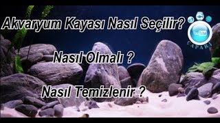 Akvaryum Kayası Nasıl Olmalı [upl. by Carroll]