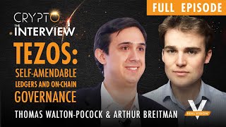 SelfAmendable Ledgers and OnChain Governance FULL EPISODE with Arthur Breitman of Tezos [upl. by Bahe]