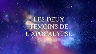 LES DEUX TEMOINS Jérôme PINNA [upl. by Kayley]