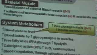 DrMohsen  ANS 9  Sympathomimetics quotAdrenalineNAIsoprenalineDopaminequot  Part 1 [upl. by Regor]