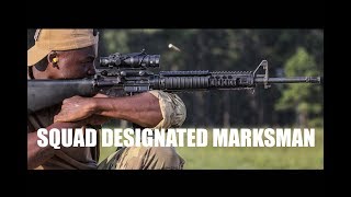 Squad Designated Marksman Course teaches critical skills [upl. by Steddman]