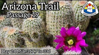 Arizona Trail ThruHike Passage 19 Superstition Wilderness [upl. by Delmore262]