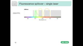 Fluorescence and Compensation in Flow Cytometry [upl. by Sundin]