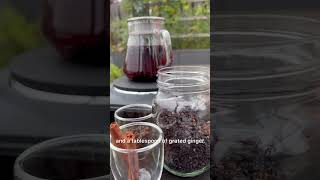 HOMEMADE ELDERBERRY SYRUP [upl. by Iron467]