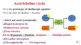 Revision on parasympathetic parasympathomimetics and parasympatholytics [upl. by Markland957]