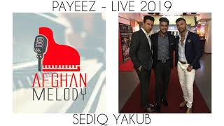 Sediq Yakub  Payeez LIVE 2019 [upl. by Lakin]