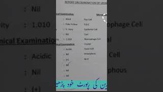 How to read a urine test report [upl. by Anaib]