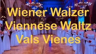 Part 2  Viennese Waltz  Wiener Walzer  Vienna Ball 🇦🇹 Viena [upl. by Joe]