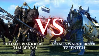 WARHAMMER III Total War  Chaos Warriors Halberds VS Chaos Warriors of Tzeentch [upl. by Aehsan491]