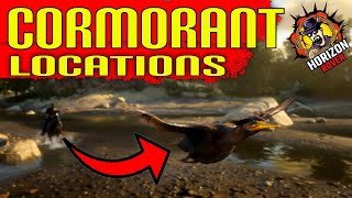 Cormorant Locations in RDR2 Online  Red Dead Online  RDO Where to find Cormorant in RDR2 [upl. by Hewitt640]