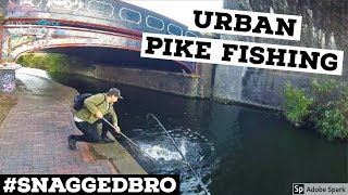 PIKE FISHING with Lures  Urban Pike 2 [upl. by Nadnal]