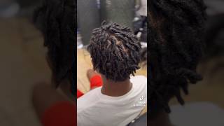 Starter Locs🤩✊🏾 comb coils by K Clay loctician starterlocs locs combcoils kclay locjourney [upl. by Getraer662]