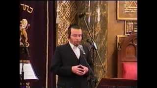 Cantor Yaakov Stark sings Hashem Moloch [upl. by Lebisor]