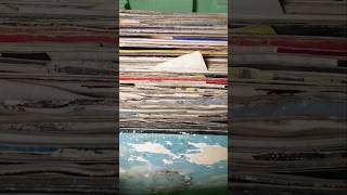 Heartbreaking vinyl records destroyed by the rain vinylcollecton music records [upl. by Aisan713]