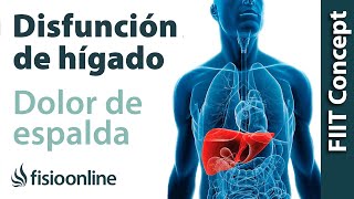 Hígado y dolor de espalda cervical y dorsal  ¿Cómo se relacionan [upl. by Jair]